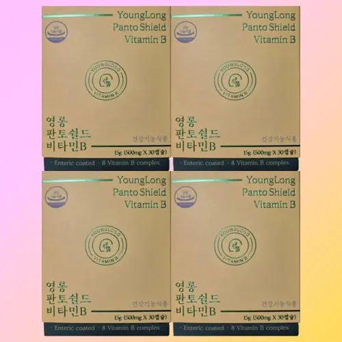 4박스 영롱 <b>판토쉴드 비타민B</b>