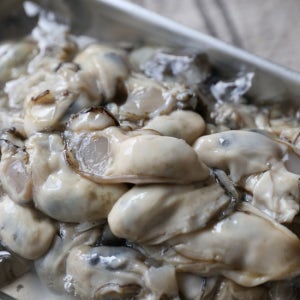 당일조업 산지직송 통영에서 온 햇 생굴 2kg