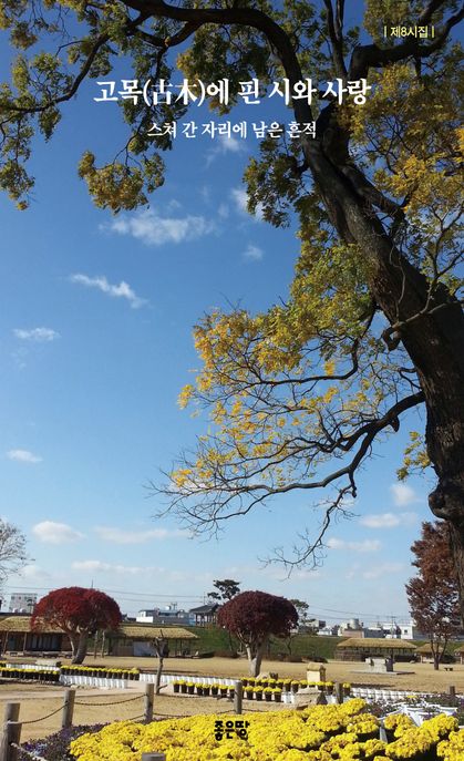 고목(古木)에 핀 시와 사랑 표지