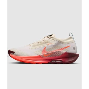 나이키 페가수스 트레일 5 GORE TEX BE3 FQ0908 104