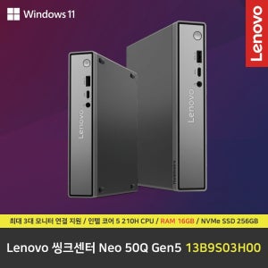 레노버 Lenovo 씽크센터 Neo 50Q Gen5 13B9S03H00 컴퓨터 / 윈도우11 Pro 설치 / RAM 16GB / NVMe SSD 256GB