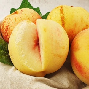 딱 2주만 맛보는 달콤한 설리 겨울 복숭아 600g내외(2입)