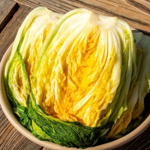 천연 스테비아 농법으로 절인 GAP 인증 땅끝 해남 절임 배추 20kg(7-9포기)