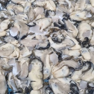 신선한 달큰함이 좋은 통영 햇 생굴 중소굴 1kg