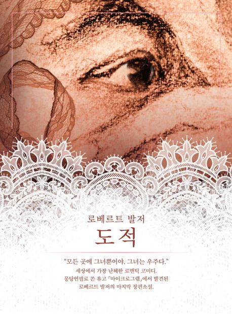 도적/ 로베르트 발저 지음; 이준혁 옮김