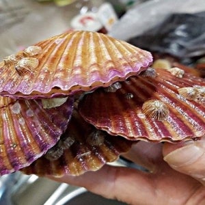 광고 메인 이미지