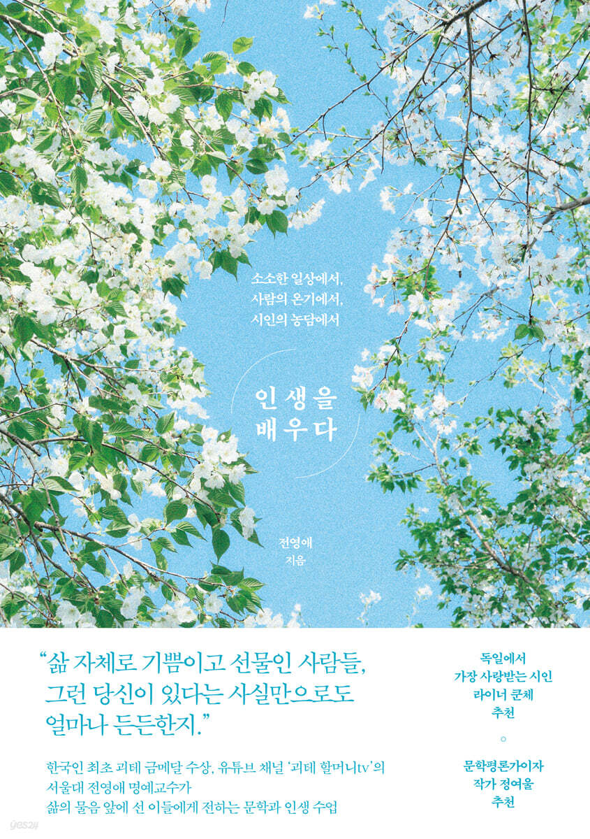 인생을 배우다: 소소한 일상에서,사람의 온기에서, 시인이 농담에서