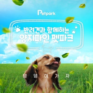 [용인] 양지파인펫파크 입장권