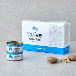 [12개 세트] 쓰라이브 컴플리트 그레인프리 고등어&흰살생선 캔 75g