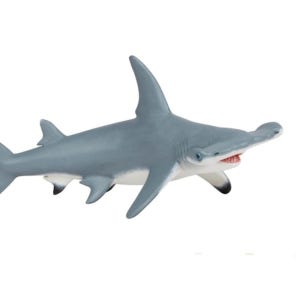 학교 유치원 못생긴 귀상어 상어피규어 초등학교 돌고래 창의력