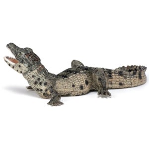 유치원 실감나는 학습용 악어 미니어처 과학실 동물모양장난감