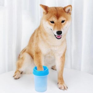 반려동물 발세척기 반려견 실리콘 쏙쏙이 발 세척기