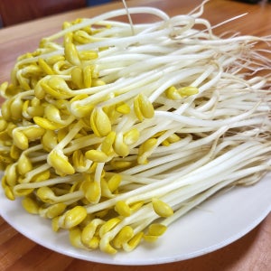 아삭함 최고 GAP 일자 콩나물 1kg