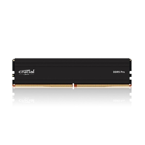 마이크론 크루셜 DDR5 PC5-44800 CL46 PRO RAM 32GB, 1개, 아스크텍