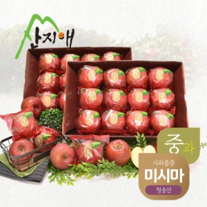산지애 사과 5.4kg (2.7kg*2박스) TV상품
