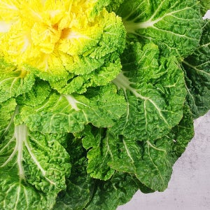 단맛 오른 국내산 남도 봄동 (납작배추 특품) 2kg