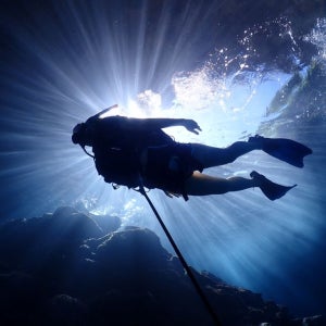 사이판 그로토 스노쿨링 투어+체험다이빙(픽업샌딩 포함)