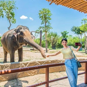 다낭 빈원더스 남호이안 빈펄랜드 워터파크 사파리 입장권 QR 티켓