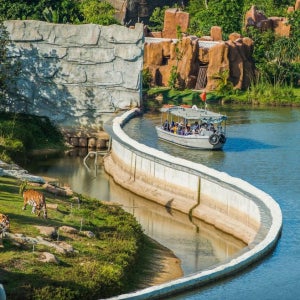 다낭 남호이안 빈원더스 입장권(빈펄랜드)