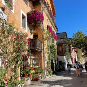 [테이스트프라하] 프라하 출발) 체스키크룸로프&할슈타트&비엔나 근교 투어 (리뷰이벤트)