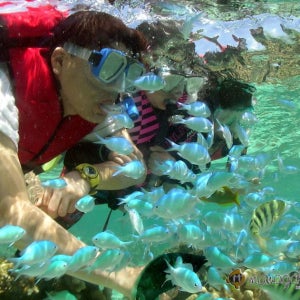 사이판 마나가하섬 투어 (패러세일링, 바나나보트, 그로토 선택)