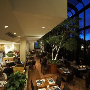 괌 힐튼 아일랜더 테라스 레스토랑 디너 뷔페