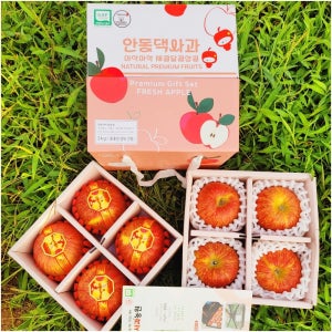 [안동댁사과농원]경북 안동 사과 부사 3kg 대과(8과) 선물세트 특별판 포장