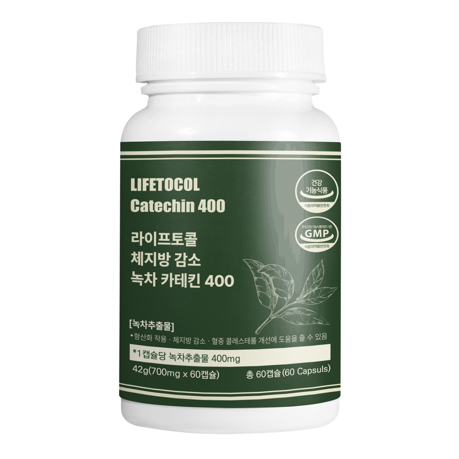 라이프토콜 체지방 감소 녹차 카테킨 400