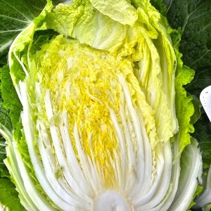 HACCP 인증 황토밭에서 키운 땅끝 해남 절임 배추 20kg(7-9포기)