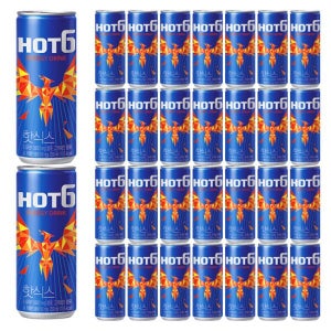 아트박스/호사문구 롯데 핫식스 250ml 30캔_G25041306894