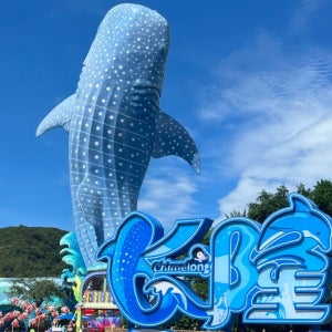 주하이 창룽 해양왕국 하루 종일 가이드 동반 (픽업/샌딩 차량/여행 사진 서비스 업그레이드 가능)