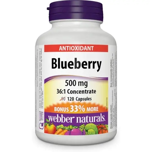 Webber Naturals <b>웨버</b> 내츄럴 블루베리 36:1 농축 캡슐 500mg 120캡슐