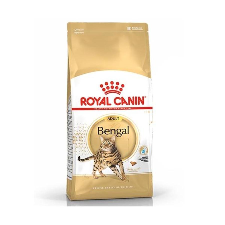 벵갈 고양이 (Bengal Cat)