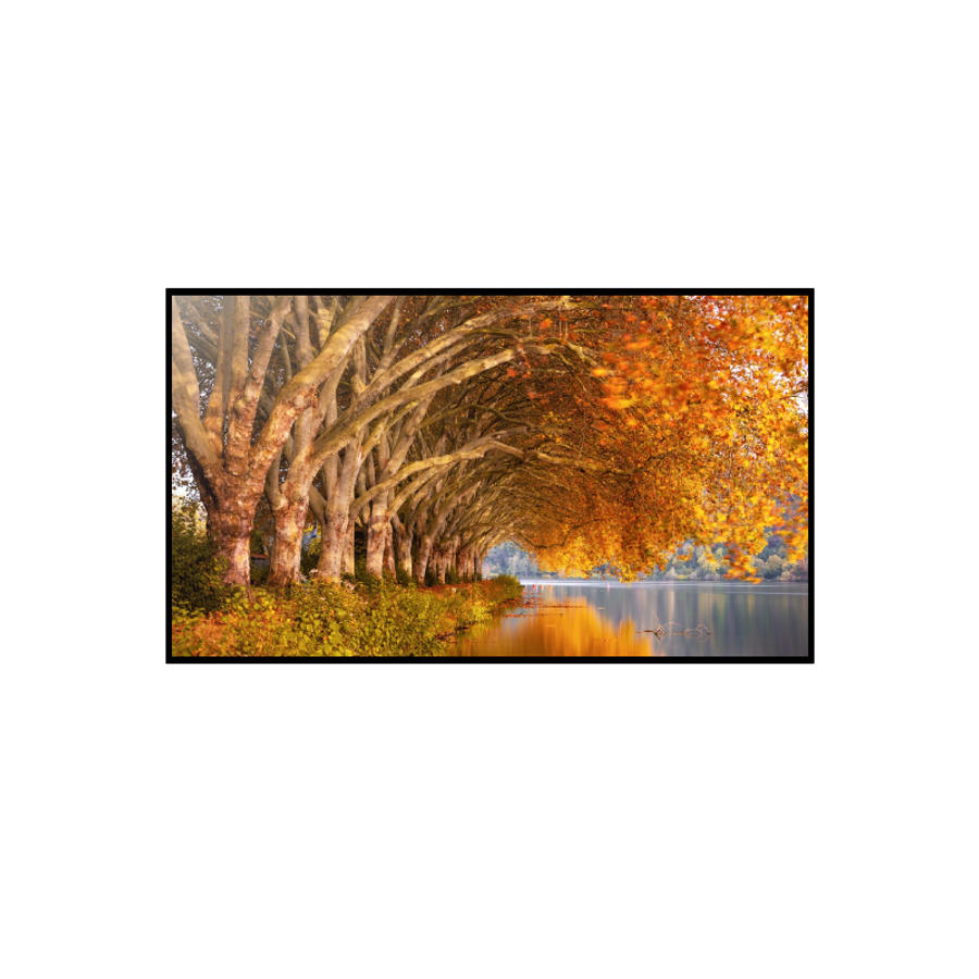 삼성전자 QLED KQ75QD67AFXKR 스탠드형 /무료배송/온