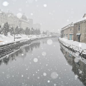 100%출발 삿포로노보리베츠도야오타루 4/5일