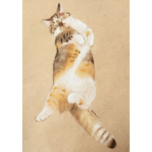 해인 반려동물 초상화 색연필 일러스트, 해인