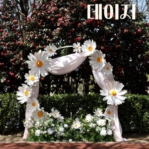 데이지 원형프레임 야외장식 포토월 세트 대형조화 플라워, 크멋자이언트플라워