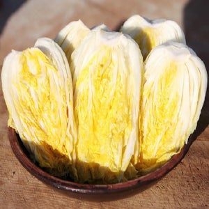 해남 절임배추 산지직송 20kg 김장용