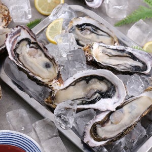 다농이네 [산지직송] 통영 굴 반각굴 하프셀굴