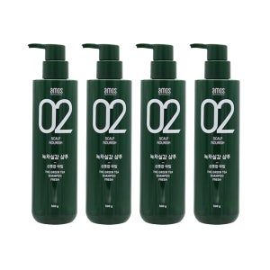 아모스프로페셔널 아모스 녹차실감 지성두피 리바이탈라이징 샴푸 산뜻한 타입, 500g 4개