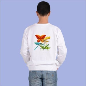 [하프클럽]모노무드 곤충 체험 개미 거미 사마귀 나비 무당벌레 C 맨투맨