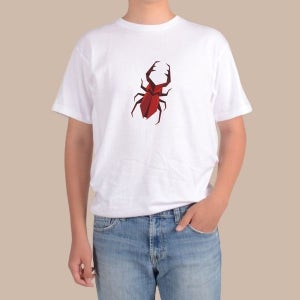 [하프클럽]모노무드 반팔티 곤충 체험 개미 거미 나비 사마귀 무당벌레