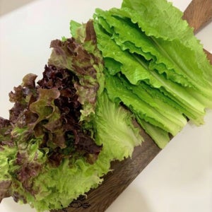 GAP 청로메인 250g+꽃상추 250g