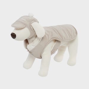 [아이더 공식몰]EIDER PET 코트 패딩 + 고소모 SET DUW25994E2