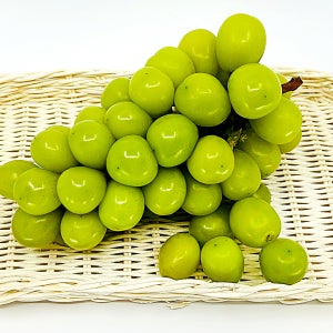 못난이 가정용 실속상품 경산 산지 탱글하고 당도 높은 샤인머스캣 4kg