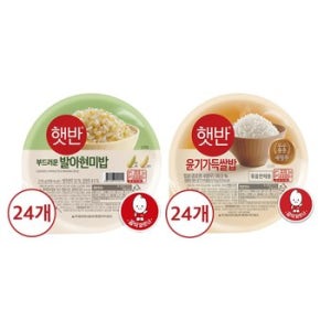 CJ제일제당 햇반 윤기가득쌀밥 210g x24개+발아현미밥 210g x24개