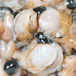 통통하고 쫄깃 담백한 수압으로 깐 국산 홍가리비 1kg