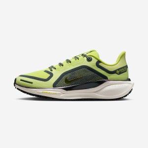 나이키 NIKE 나이키 페가수스 41 고어텍스 FQ1357-300