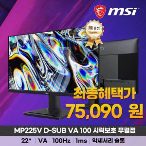 MSI PRO MP225V D-SUB VA 100 시력보호 무결점