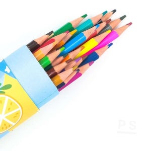 지워지는 24색 색연필 세트 유아색연필 연필색연필 채점색연필
